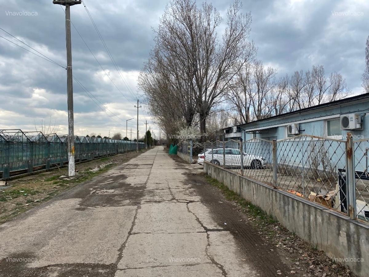 Hala depozitare - 3