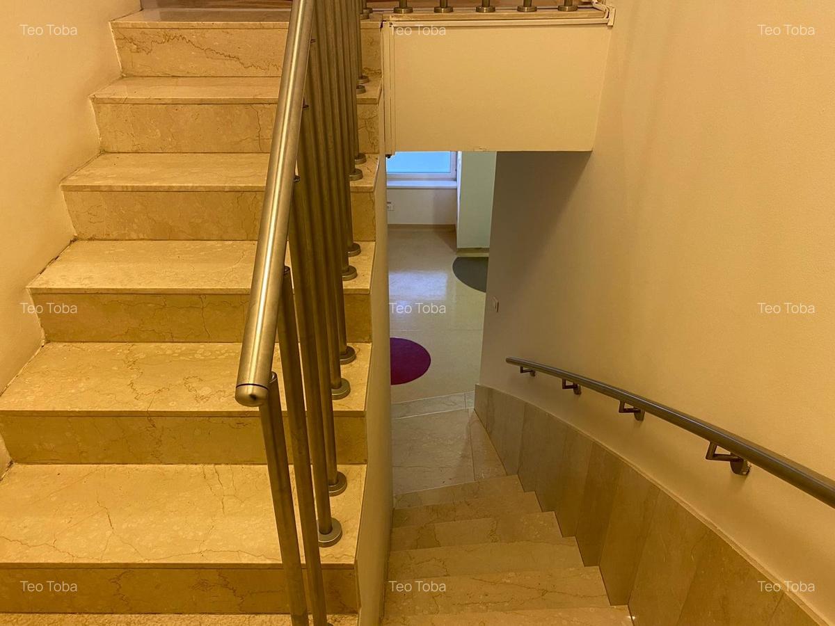 Inchiriere spatiu comercial P+1  230mp curte terasa ideal investitie Aviatorilor - 9