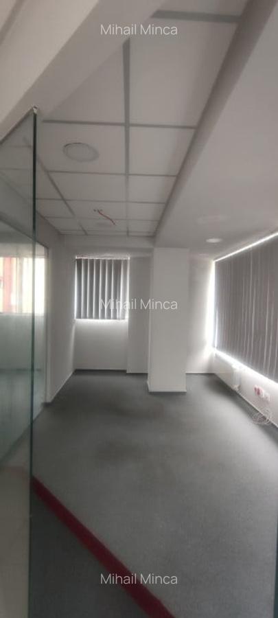Inchiriere Spatiu Comercial, Eremia Grigorescu, Pitesti, 224mp - 9