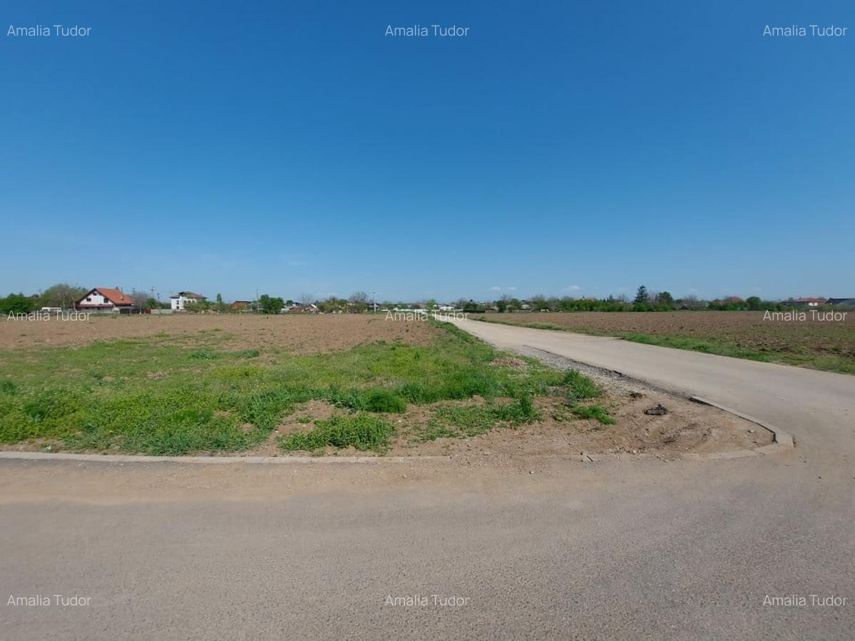 Lot de casa de 583mp, deschidere 30m, Ciofliceni - Snagov! - 7