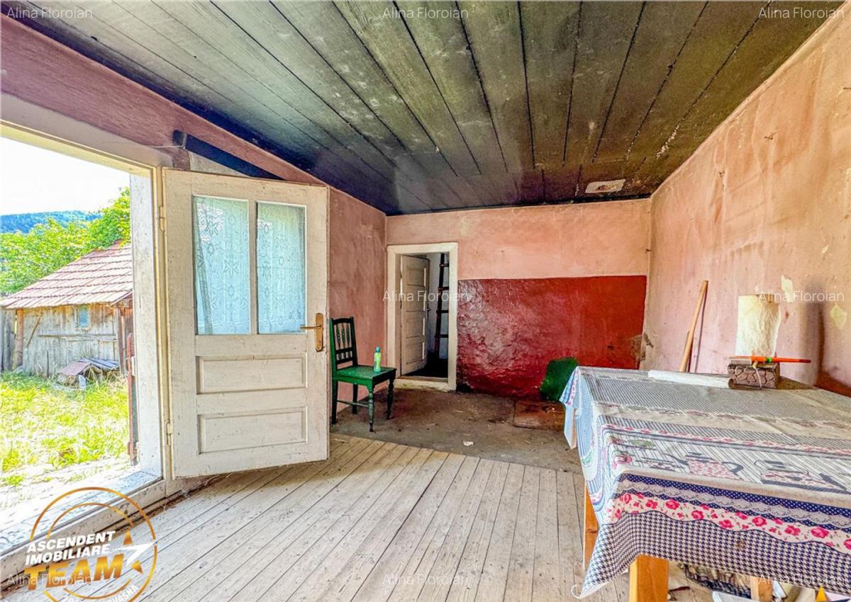 FILM!Casa personalizabila anexe domeniu de peste 3.600mp,in - 12