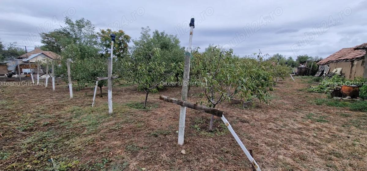 Casa de vanzare cu teren . - 4