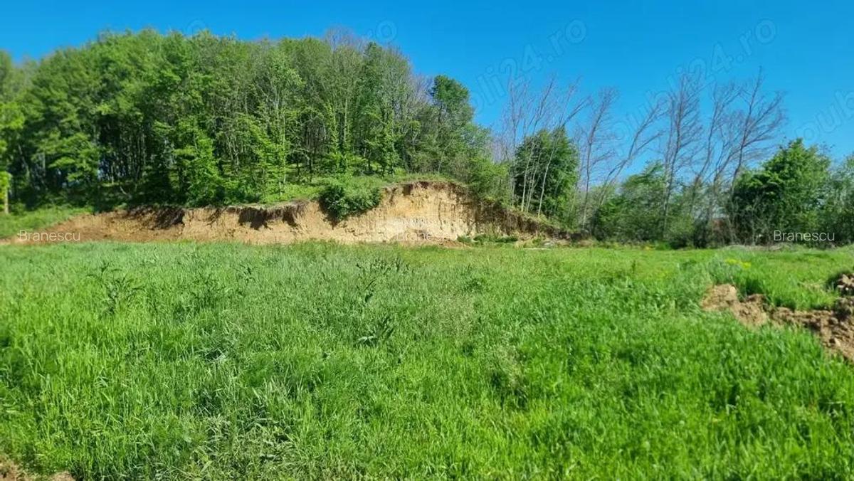 Vand teren intravilan, Bascov, 500 mp, Arges - 3