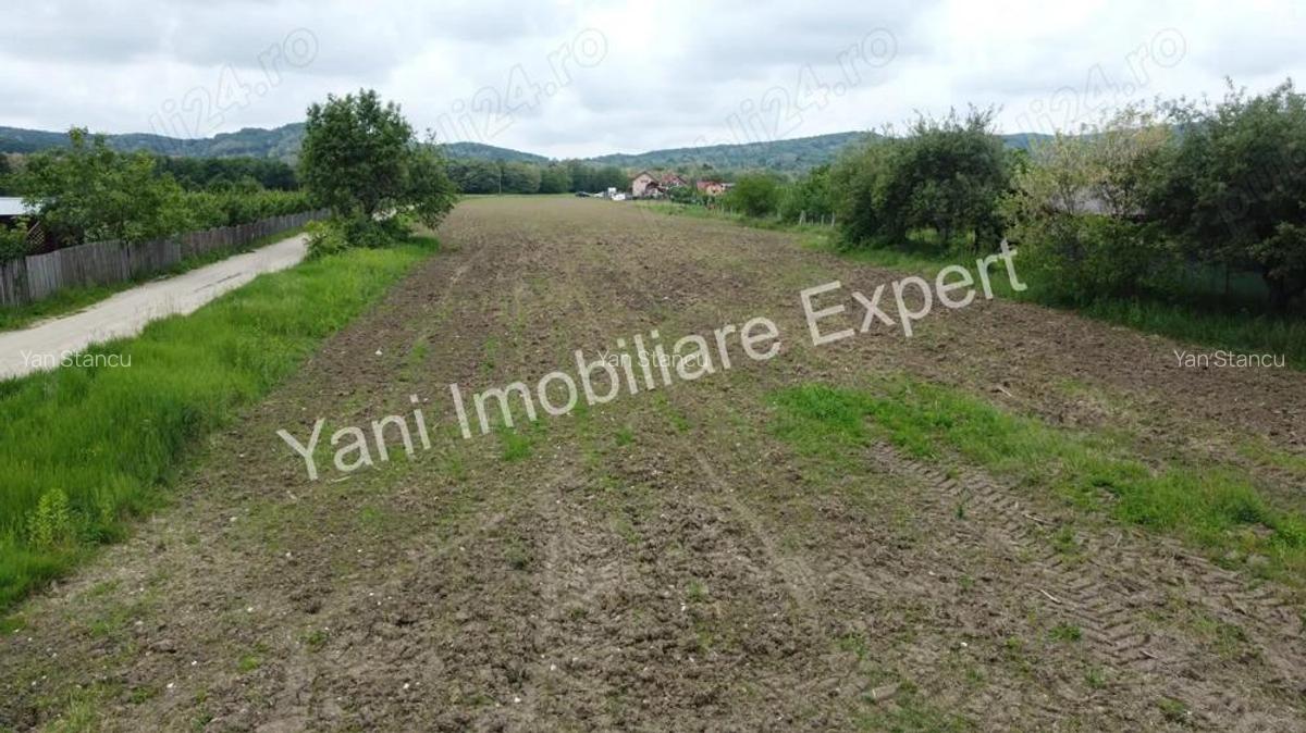 Teren 10.000 mp de vanzare in comuna Ciofrangeni, Judet Arge?. - 13