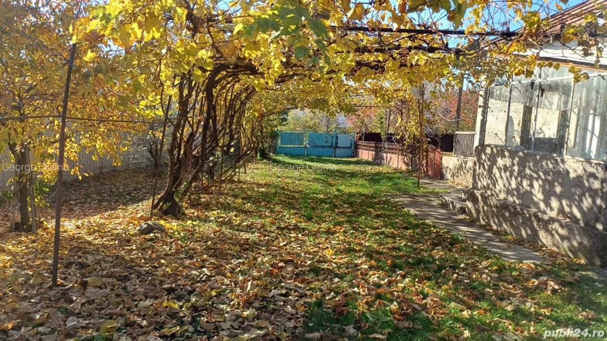 Vand Casa si Teren - 3