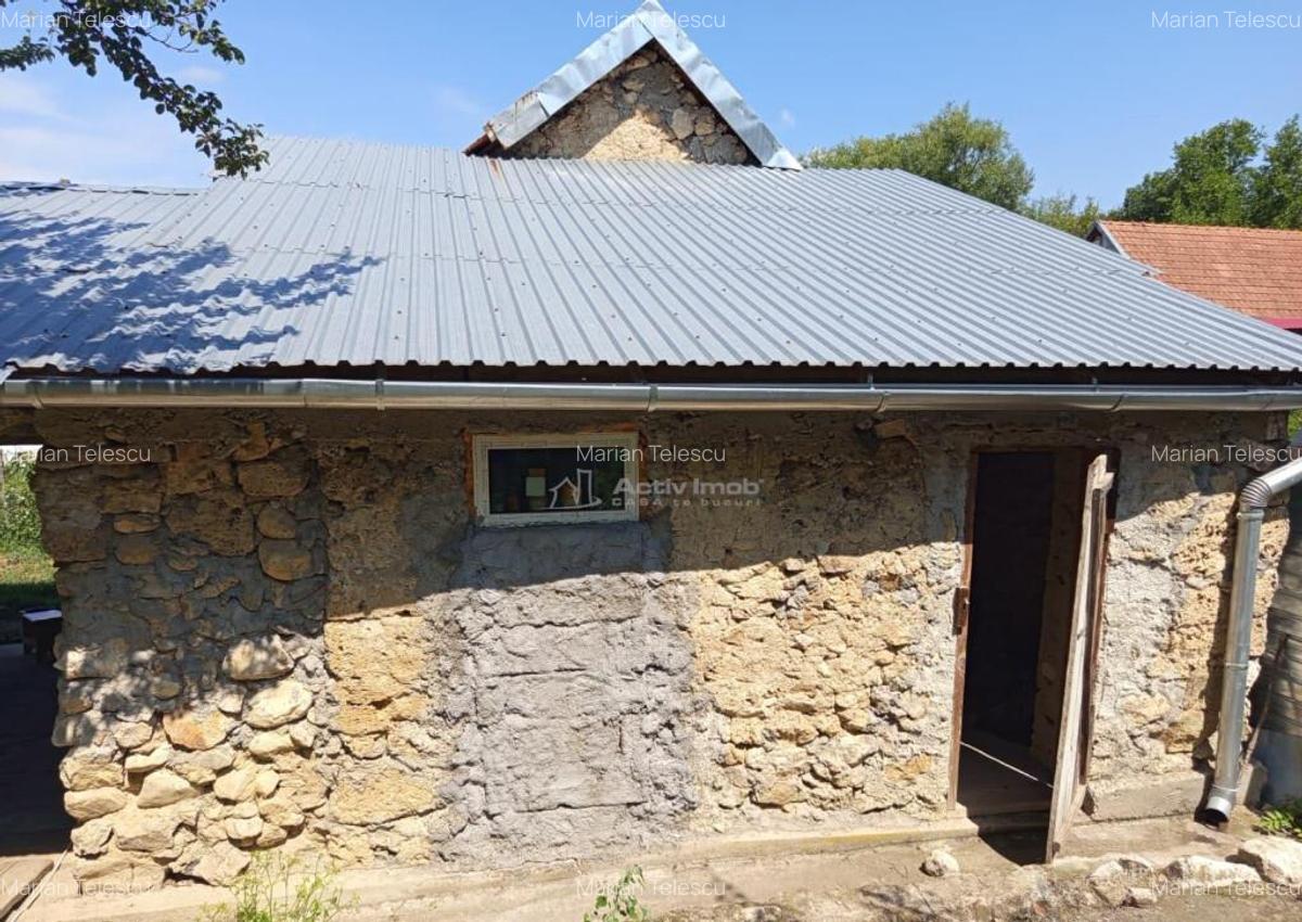 Ilidia, Casa de Vacanta, 3 Camere, 899mp Teren, Usor Negocia - 15