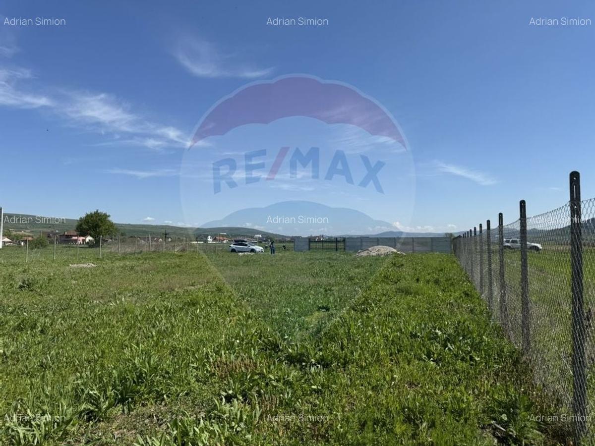 Teren de vanzare 8.700 mp in Livada comuna Iclod - 15