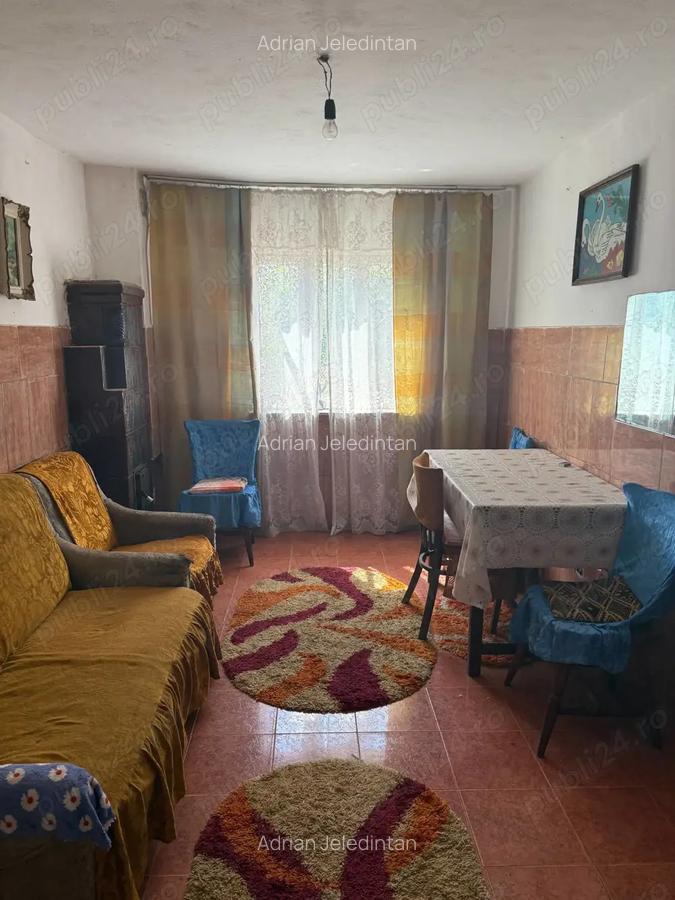 Proprietar,vind casa cu teren,acte la zi,situata in sat Paltinisu comuna Cazane?ti,judet Mehedin?i - 8