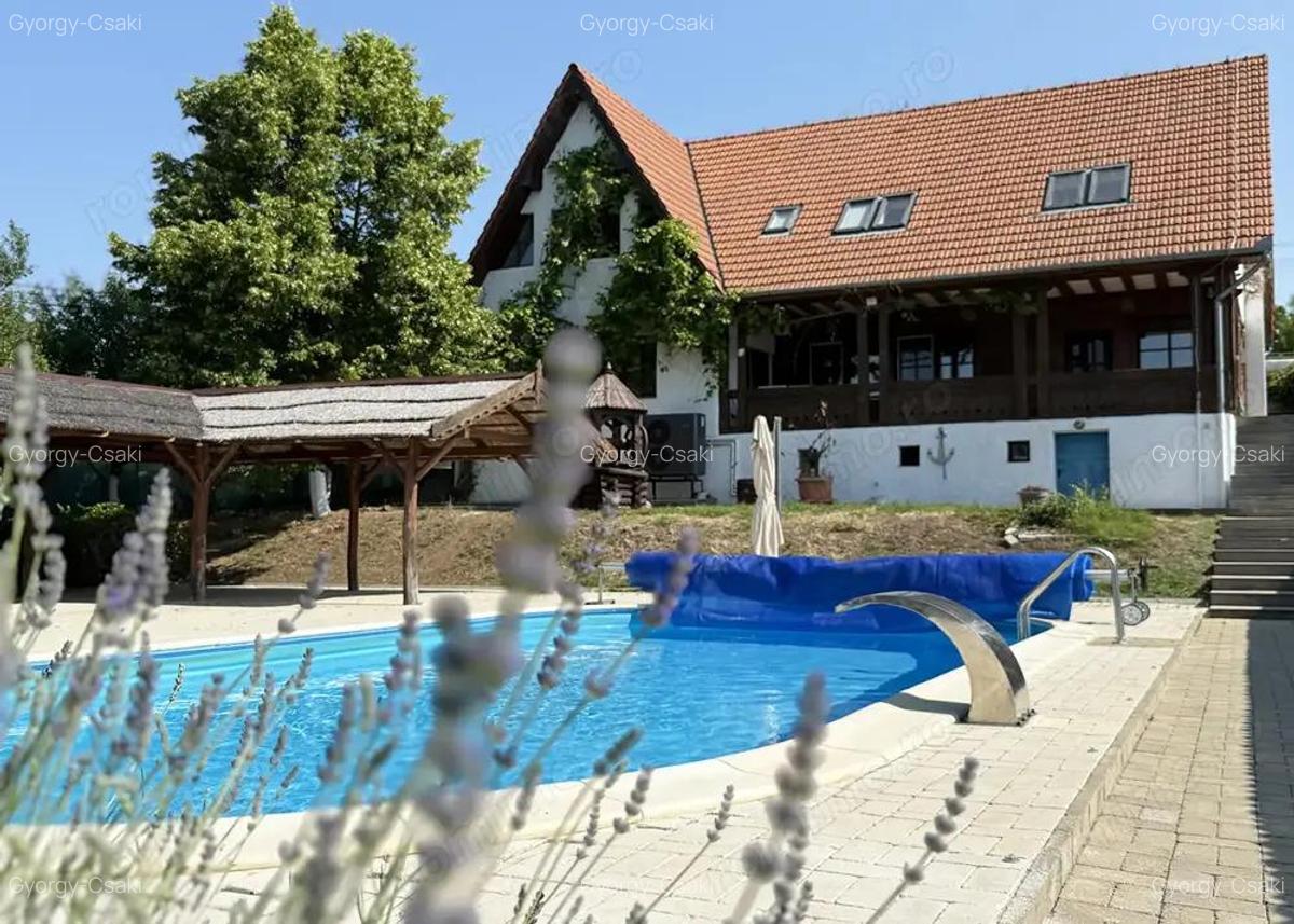 Casa cu piscina Pensiune Restaurant - Pe malul lacului din Paleu - IMOBIHOR - 1