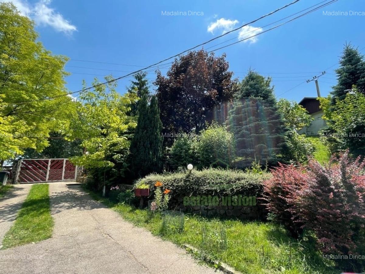 Proprietate deosebita cu gradina superba, luxurianta, 3000 mp, Breaza - 3