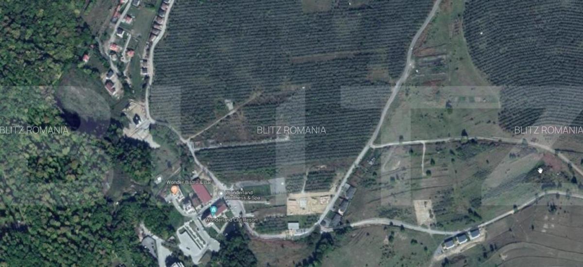 Reducere de pret! Teren intravilan 6200 mp in zona Wonderlan - 2
