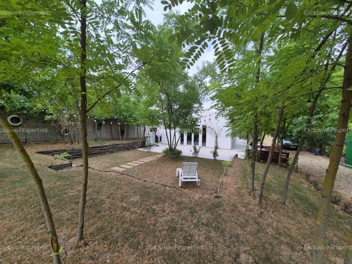 Casa de vacanta / spatiu comercial de vanzare - Frumusani - 11