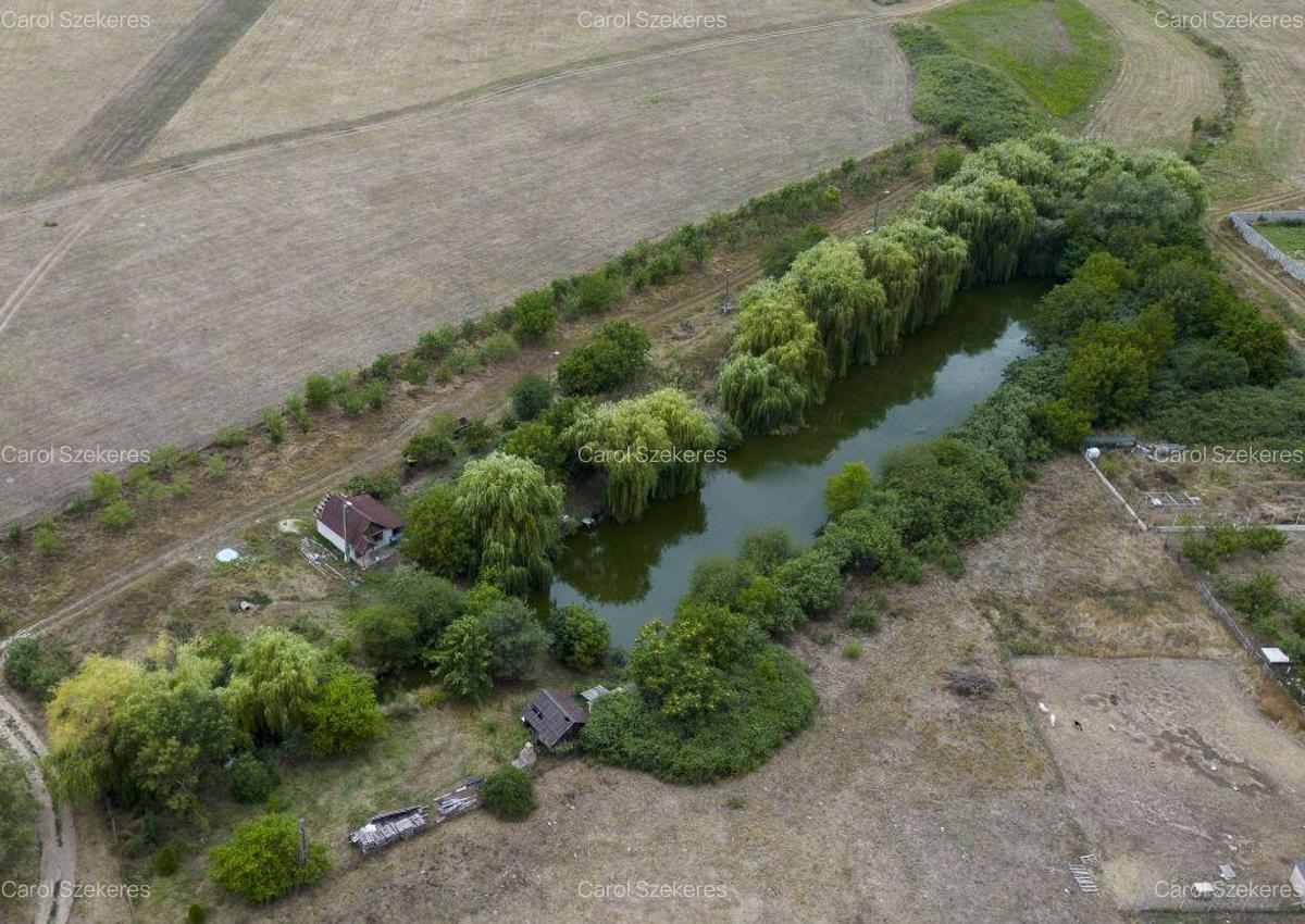 Teren de 7900 mp cu balta de pescuit in Frumu?eni - 5