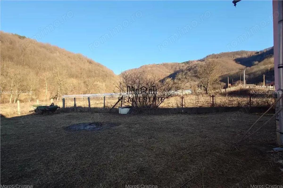 Proprietate cu potential in Apuseni - fosta pizzerie, ideala pentru afacere sau locuinta - 16