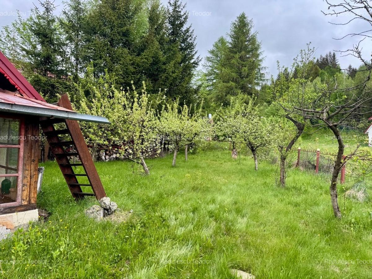 Vila vacanta Cheia - Prahova, pretabila pentru investitie - 35