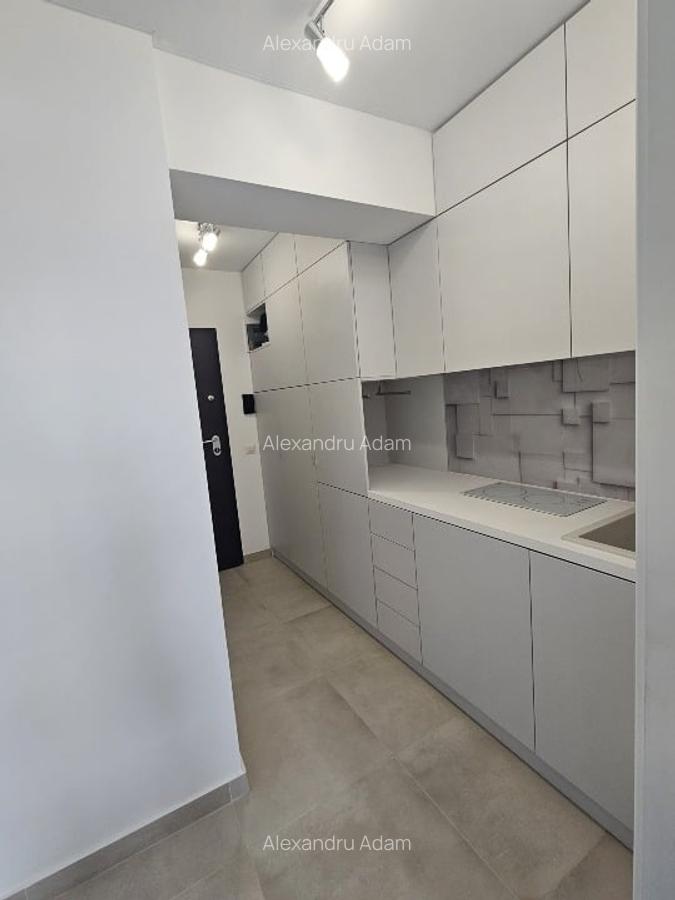 High Standard XL studio in Grozavesti - 7