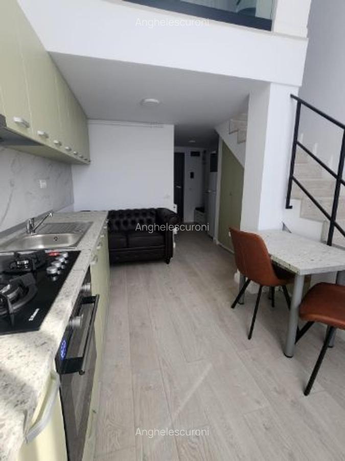 Ofer spre închiriere un studio loft - 6