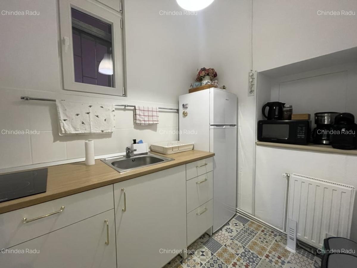 Apartament istoric in Piata Iosefin Amenajat pentru Booking/AirBnb - 4