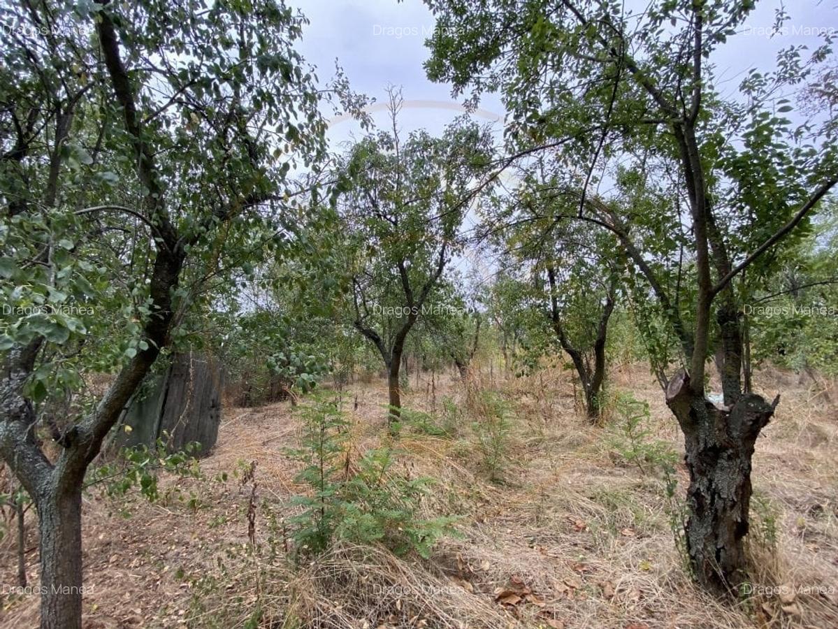 Teren 3000mp intravilan in Mavrodolu, AG - 4