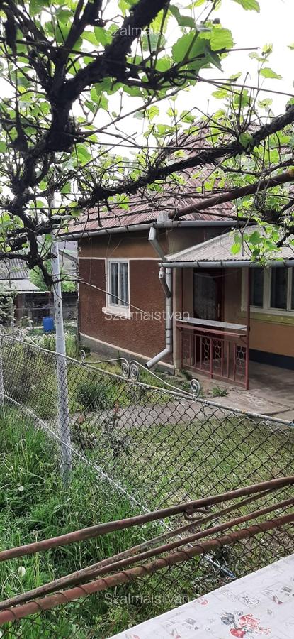 Vand casa cu 2  cam. +dependinte in Ceoasul de Campie - 9