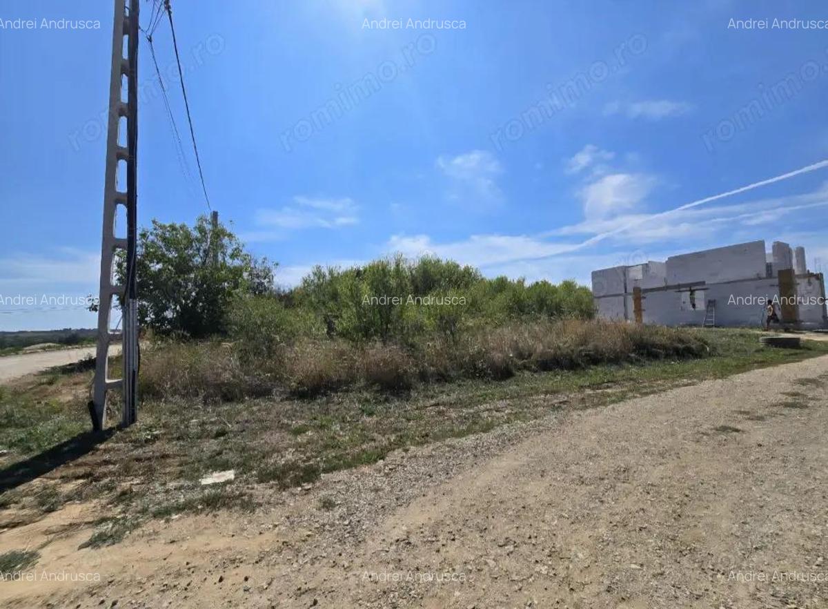 Teren Paleu Intravilan - 5