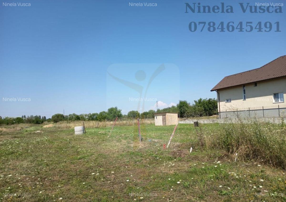 OFERTA!! TEREN INTRAVILAN ANINOASA-DAMBOVITA - 4