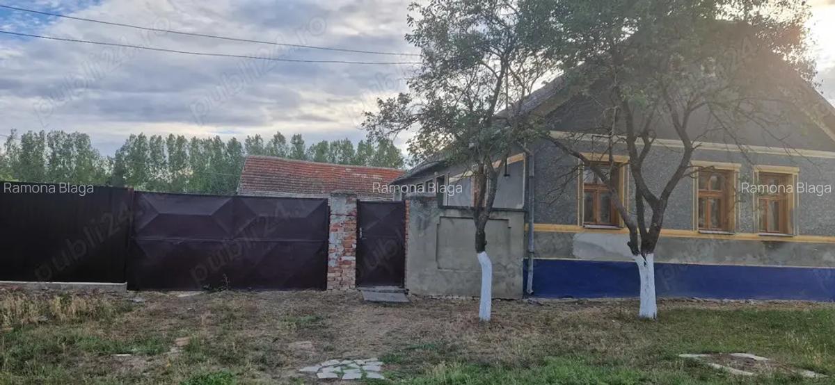 Vand casa cu gradina - 2