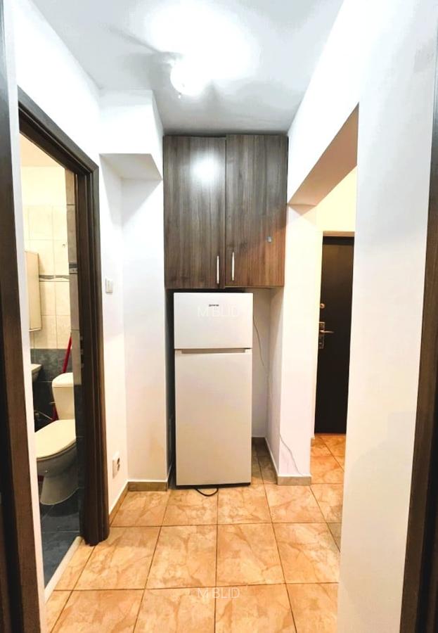 Inchiriere garsoniera Calea Mosilor - 4