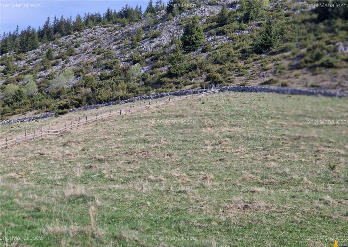 7.000 mp, pozitie spectaculoasa, fara vecini, Fundatica, Bra - 5