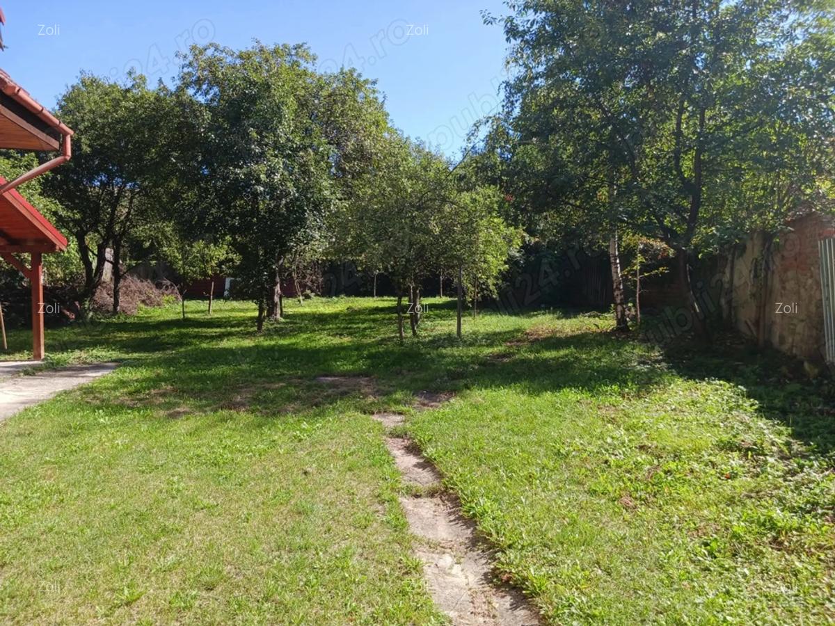 Casa frumoasa, ideala pentru 2 familii, zona linistita, localitatea Zizin, direct de la proprietar - 8