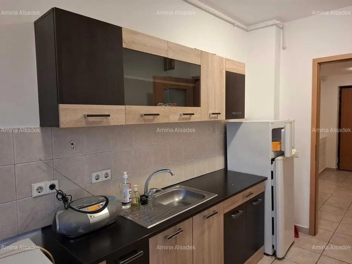 Inchiriere Apartament 2 Camere Centrala Baicului - 5