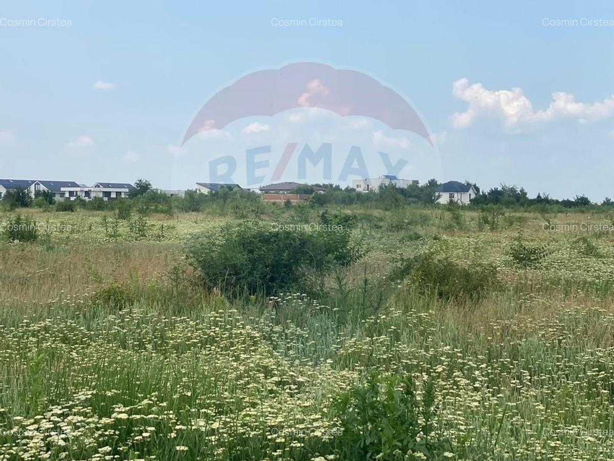 DE VANZARE Teren 5,000mp Sisesti Drumul Piscul Mosului - 29