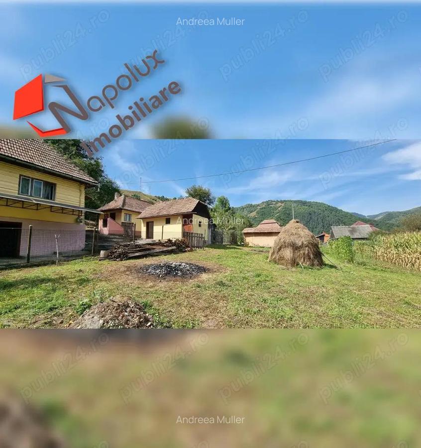 Casa deosebita in zona turistica pitoreasca Valea Ariesului - 4