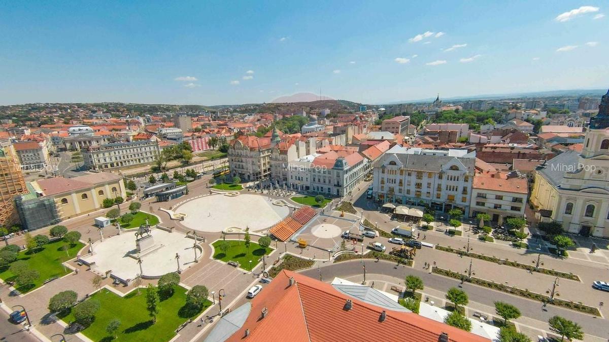 De vanzare -- Spatiu comercial parter 409 mp, Vasile Alecsandri - 14