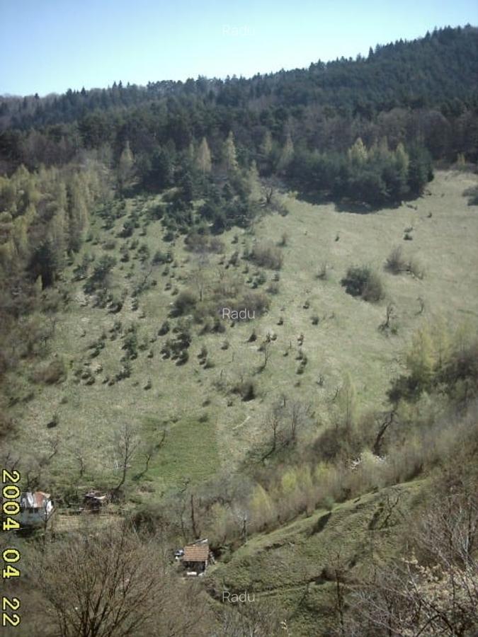 Tren intravilan si casa de lemn  in Brasov - 2