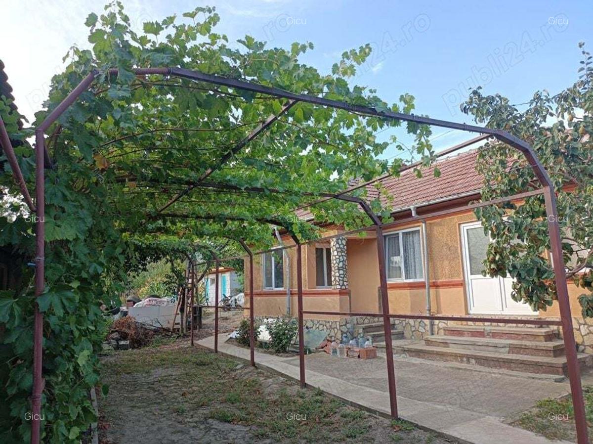 Casa cu curte si gradina - zona linistita si frumoasa - 3