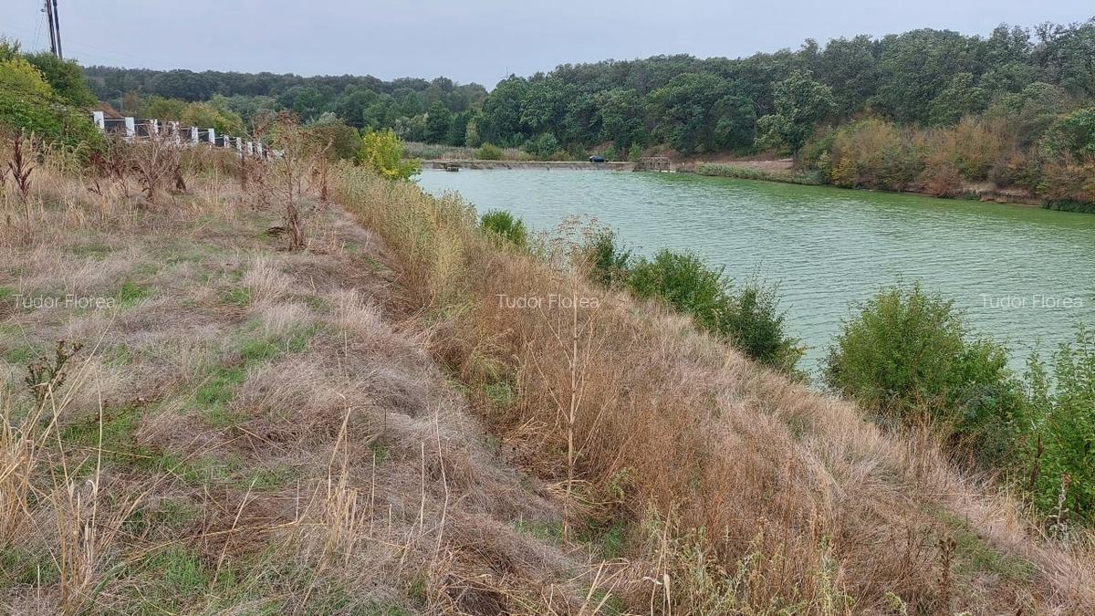 De vanzare teren cu deschidere la lac - 6