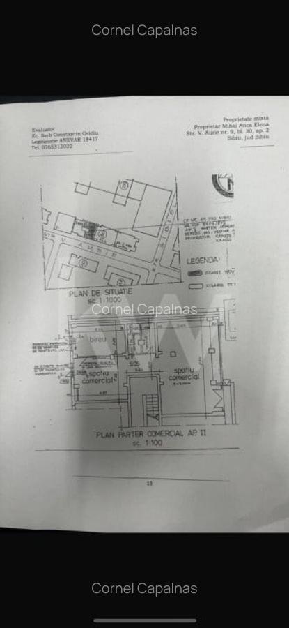 SPATIU COMERCIAL DE INCHIRIAT VALEA AURIE - 12