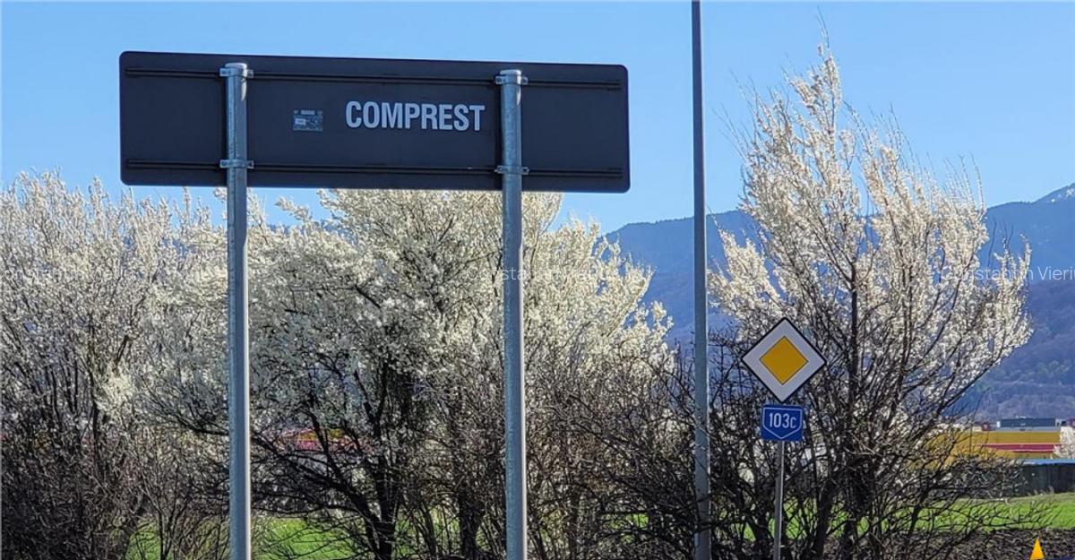 50.000mp teren intravilan, Clasa Master, in Brasov spre Stu - 13