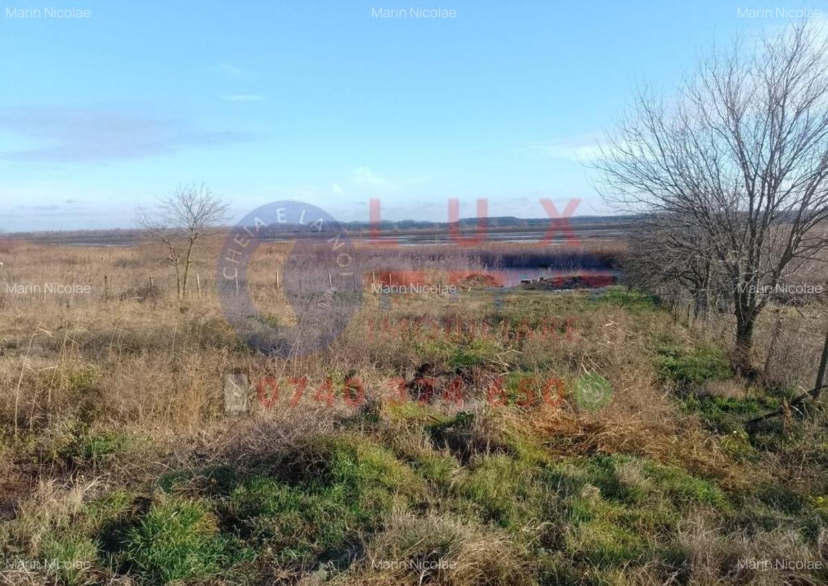 ID 7809 Teren intravilan in DUNAVA?U DE SUS - 3