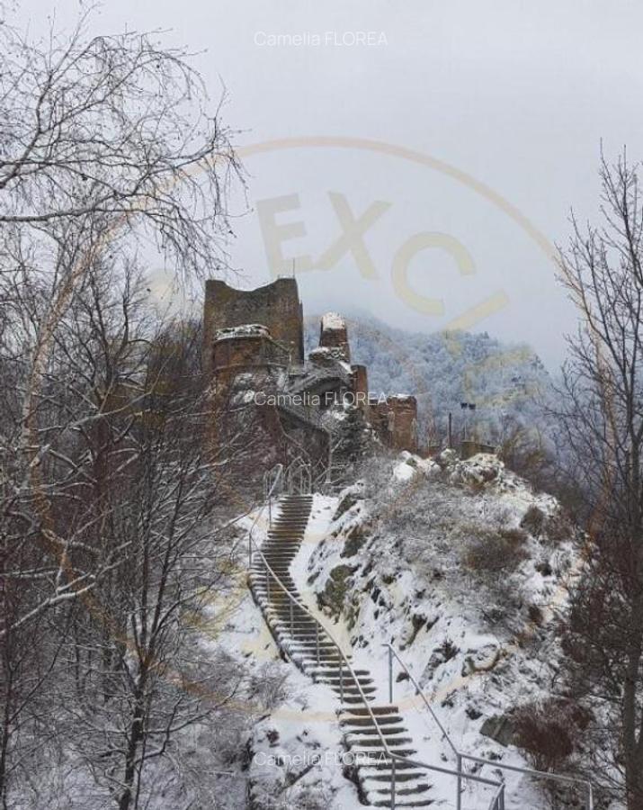 Teren 4996 mp zona de munte Comuna Arefu-Capataneni Arges - 7