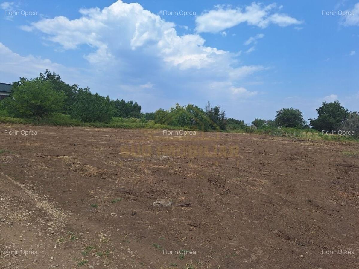 STR.APUSULUI-TEREN INTRAVILAN-2000 MP - 5