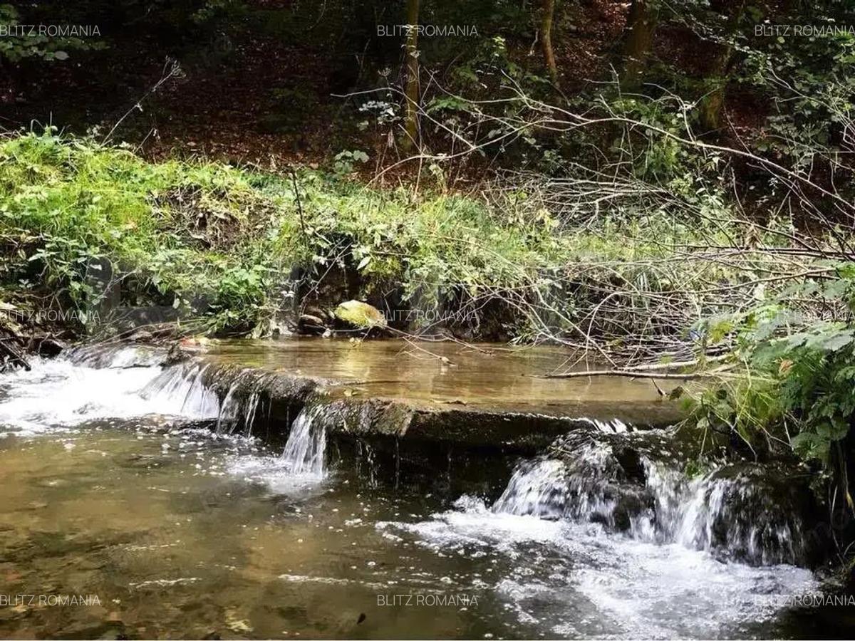 Casa de Vacan?a pe Valea Ighielului 3 camere, 2500 mp curte - 2