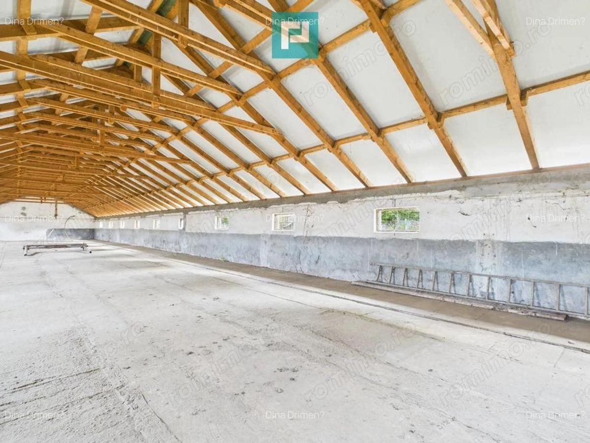 Hala pentru produc?ie / ferma zootehnica - Varia? - 12