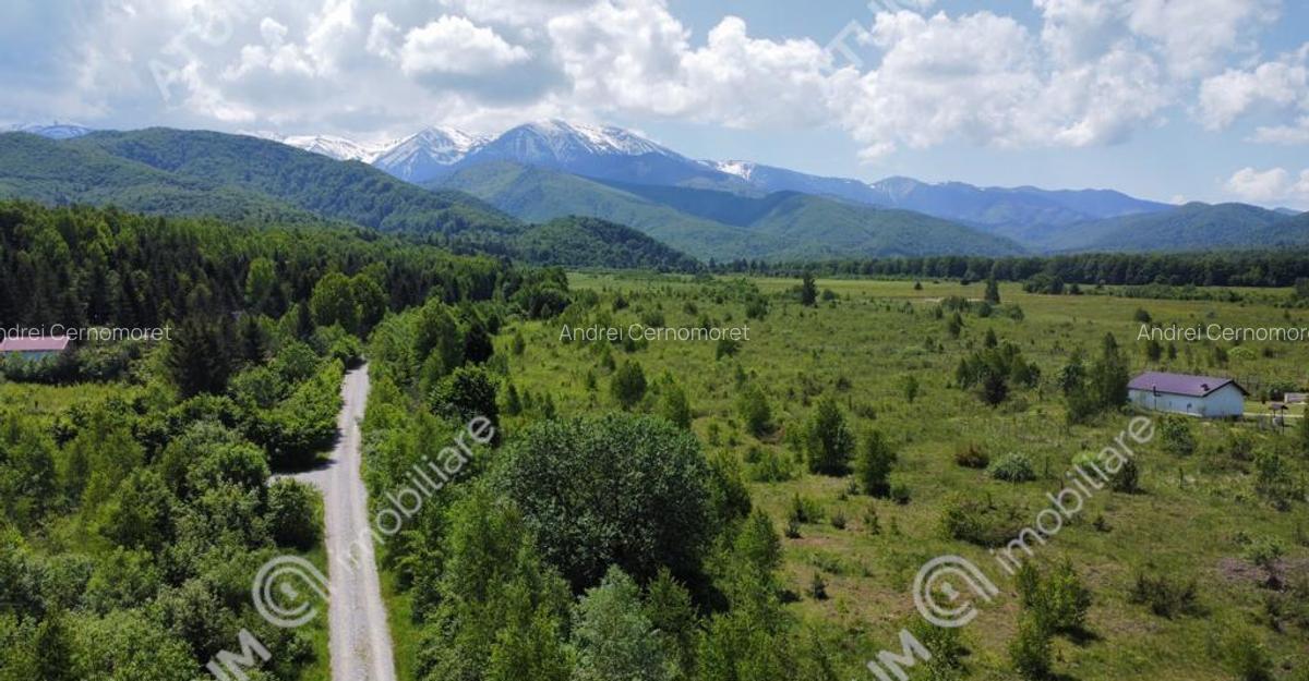 Teren intravilan 1000 mp de pe Valea Avrigului - 1