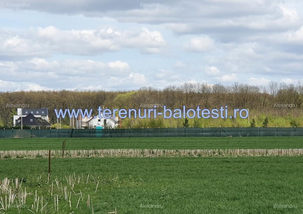 Teren langa padure si utilitati,800 mp,37000 euro - 1