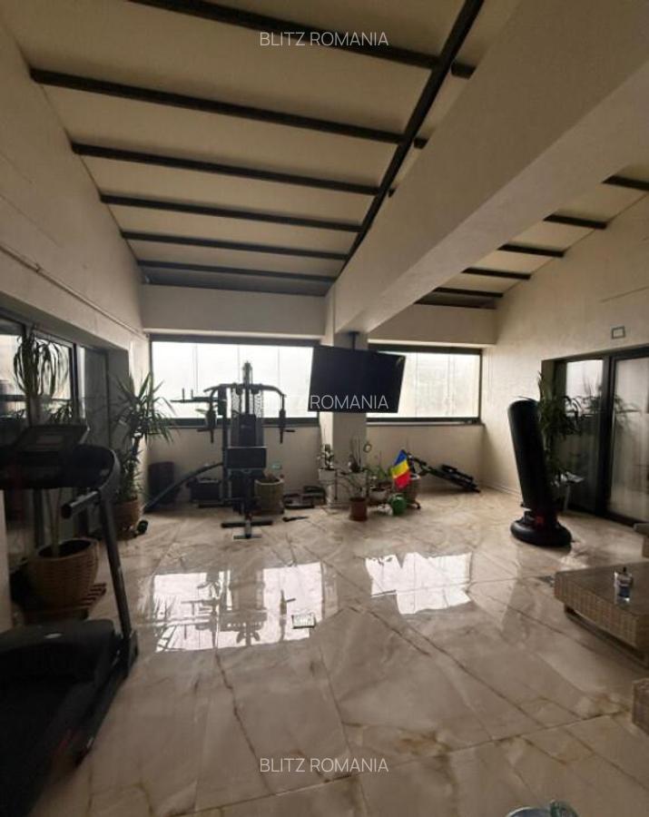Penthouse 160 mp, zona Electroputere Mall. - 17
