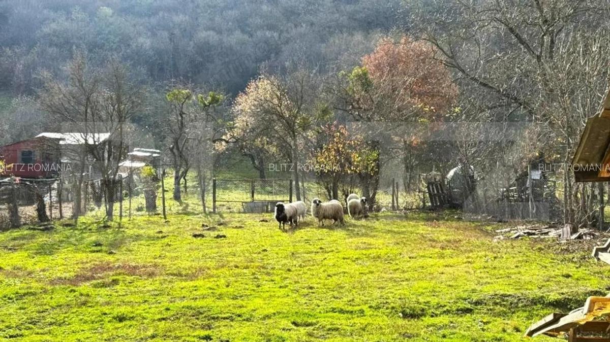 VAND CASA SI TEREN IN ARCALIA, CU TOATE UTILITATILE SI 19 ARI DE TEREN - 6