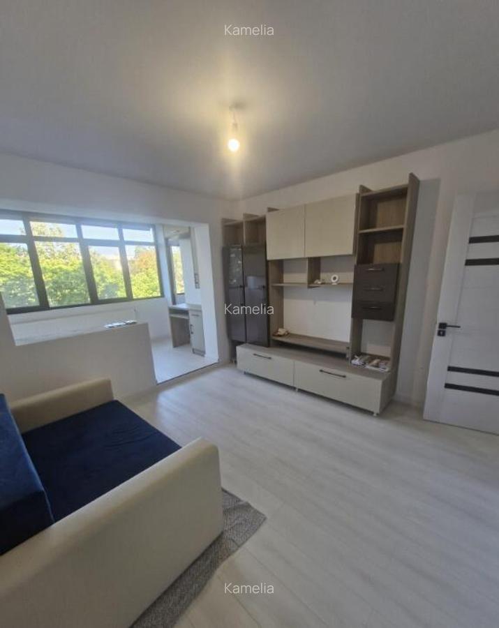 Apartament 2 camere Bulevardul Balcescu - 1