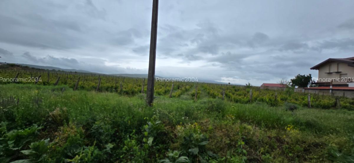 Casa si teren intravilan 4200 mp  Cotesti - 17